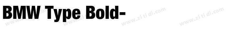 BMW Type Bold字体转换